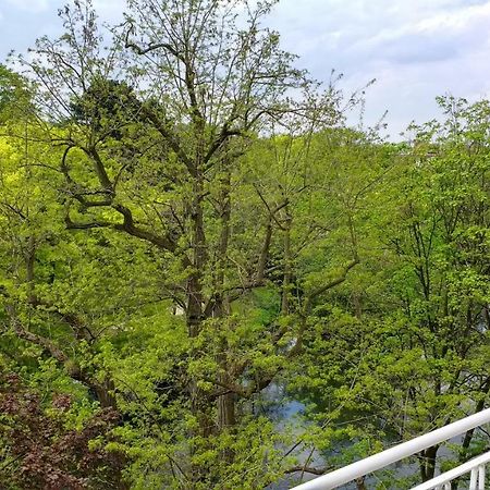 Ferienwohnung Parkblick Bremen Bagian luar foto